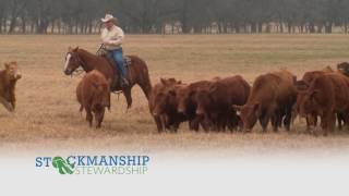 Cattlemen to Cattlemen – June 27, 2017