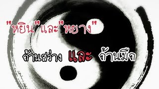 หยินหยาง สรรพสิ่งที่ตรงข้ามกัน มืดและสว่าง Yin Yang | สาระอนิเมะ EP.5