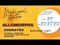 What are allomorphs? Types of allomorphs. Cognates,  Homophony , isolating, fusional & agglutinating