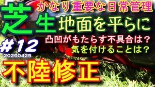 不陸修正 芝生の美しさを左右する大切な作業 芝活2020#12