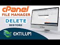 How to Delete and Restore Files and Folders in File Manager cPanel - Extilum Hosting