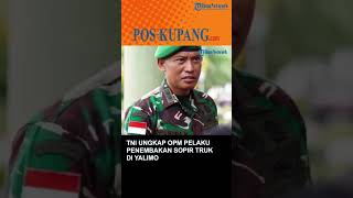 TNI Ungkap OPM Pelaku Penembakan Sopir Truk di Yalimo