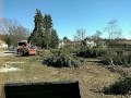 Time lapse of Spruce removal by Lofty Heights Tree Care