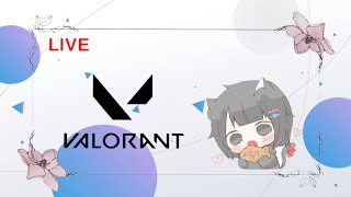 【valorant】  ふぃじかる！