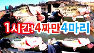 배스낚시! 1시간만에 4짜만 4마리! 나도 이런날이 있네~~! (운수 좋은 날) #봄배스#런커급#크랭크베이트#힐링배스