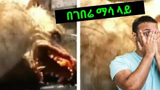 በገበሬ ማሳ ላይ የተገኙ  ታይተው የማይታወቁ አስገራሚ ፍጥረቶች