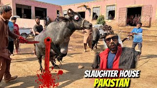 Pakistan Me Gayen Kaisy ziba Hoti Hain | End Hogya | slaughterhouse