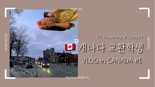 Eng) [VLOG #1] 기숙사 라이프 | 캐나다 네일샵 | 케임브리지 여행 | Canada Guelph | Cambridge | CANADA VLOG🇨🇦