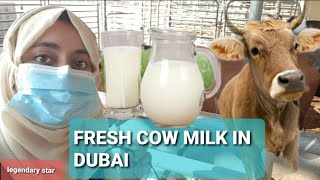 Dubai 2020 ;Fresh milk from DUBAI UAE