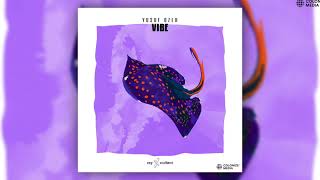 Yusuf Ozer - Vibe