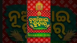 NUAKHAI JUHAR#WESTERN ODISHA FAMOUS FESTIVAL NUAKHAI TIHAR#NUAKHAI JUHAR GO#HAPPY NUAKHAI