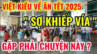 VIỆT KIỀU VỀ VIỆT NAM ĂN TẾT 2025 \