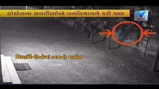 Panther is Capture in Junagadh Girls hostel CCTV camera | Vtv Gujarati