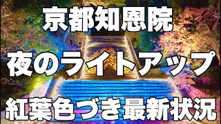 【4K】2024年11月18日（月）京都知恩院、夜のライトアップ。紅葉色づき最新状況！夜晚灯火通明的京都知恩院。秋叶最新状况！Chion-in Temple in Kyoto japan.