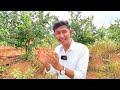 agriculture crop insurance kannada ಬೆಳೆ ವಿಮೆ farming in karnataka kshema general insurance