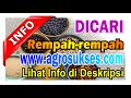 |Update 2024| Membeli Rempah-rempah - (RUTIN & KONTINYU) - www.agrosukses.com