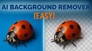 How to Remove Backgrounds with Nano Banana (Google Gemini’s AI Image Editor)