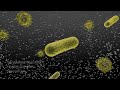 Ionic+: Understanding The Antimicrobial Advantage