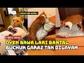 VIDEO KUCING OYEN USUNG BANTAL BUSUK MENCUIT HATI