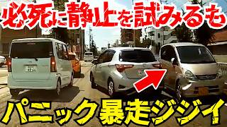 【ドラレコ】高齢者の逆走で車が原因で衝突事故の瞬間！最新日本交通安全危険予知