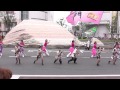 team清門さんと輝楽喜楽連さん　草加よさこい・ふささら彩祭