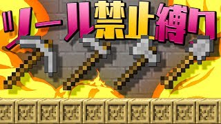 [#1]【Minecraft】ツール禁止縛りで黄昏の森クリア目指します!! 【さみはや】実況