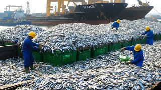 Modern fishing boats carry thousands of giant fish, the way fishermen catch and process fish at sea