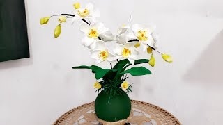 DIA DAS MÃES, ORQUÍDEA SEM FRISADOR