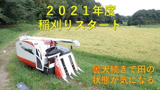 第２８４回　稲刈りスタート！曇天続きですが田の状態は？