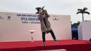 再見舊城—旨呈@享樂團—spca狗狗同樂日