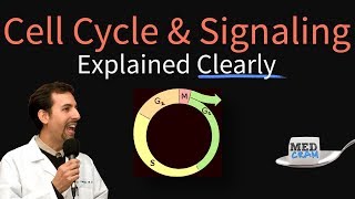 Cell Cycle, Cell Signaling, and Disease Explained Clearly