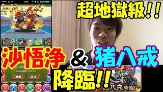 [無課金パズドラ]沙悟浄＆猪八戒降臨超地獄級に覚醒バステトで挑む!!先制攻撃に気をつけろ!!