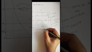 How to draw a face..with perfect measurements... #howtodraw #howtodrawaface #facedrawing