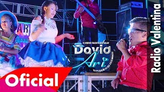 David Ari - Chiquita Hermosa (Video Oficial) 2019