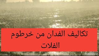 تفاصيل خرطوم الفلات سعره وتكلفته والشركات اللي بتبيعه والتصريف والمحاصيل المناسبه ليه  01148655412