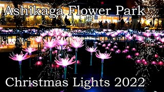 【あしかがフラワーパーク】クリスマスイルミネ－ション2022を散策【4K】Stroll through Ashikaga Flower Park Christmas lights 2022.