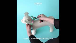 ciiron TOKYO ハーネスの付け方