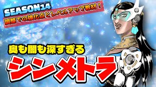 【オーバーウォッチ２】奥も闇も深すぎる！実践で学ぶシンメトラ【OW2】