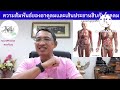 mp198 ความสัมพันธ์ของธาตุลมกับเส้นประธานสิบและโรคลม