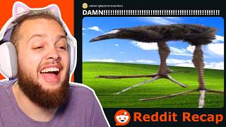 This Subreddit Is Doomed 💀 - Reddit Recap
