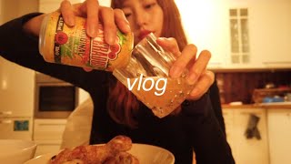 (미대생vlog)냐옹/수아레/집구하기/프렌치요리/작업구상/캔버스짜기