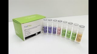 PreciGenome COVID-19 PCR Kit (RNA Extraction Free, UK \u0026 South Africa Variants Identification)