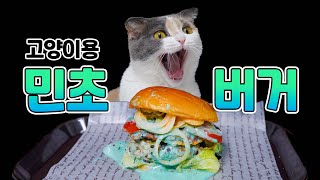 민트초코 햄버거 보고 놀란 고양이 | 고양이산책