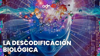 La descodificación biológica busca el significado emocional de las enfermedades