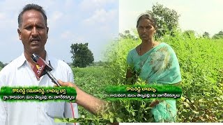 Woman Farmer Lavanya Success Story - Agriculture Special  || Bhoomi Putrika || Vanitha TV ||