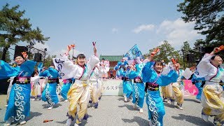 [4K] 夢源風人　『郷-Sato-』　京都さくらよさこい 2019 1日目 神宮道 さくよさ