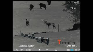 ThermTec Ares LRF｜Field observation｜Thermal imaging scope