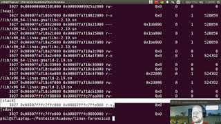 Pentester Academy Linux Forensics course Memory analysis part4 Process maps and dumps