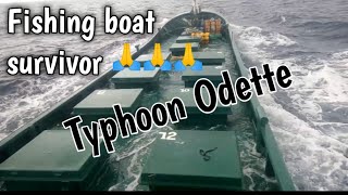 Fishing boat Survivor/Typhoon Odette