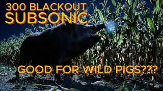 300 BLACKOUT SUBSONIC GOOD FOR WILD PIGS???